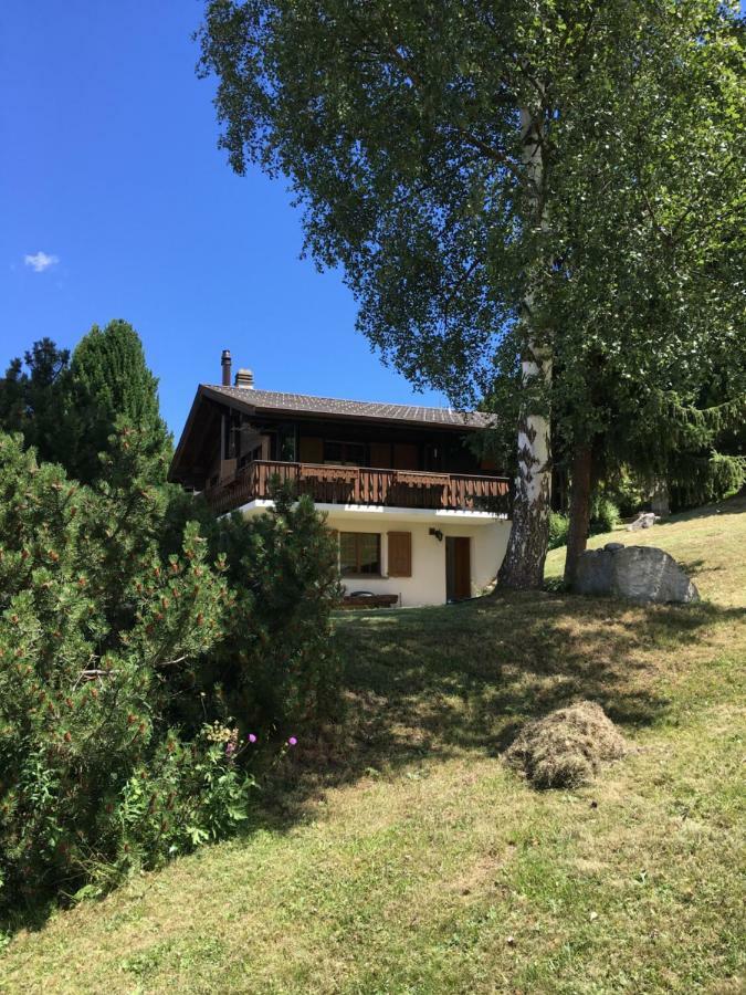 Ferienwohnung Im Chalet Firn - Og 벌첸 외부 사진